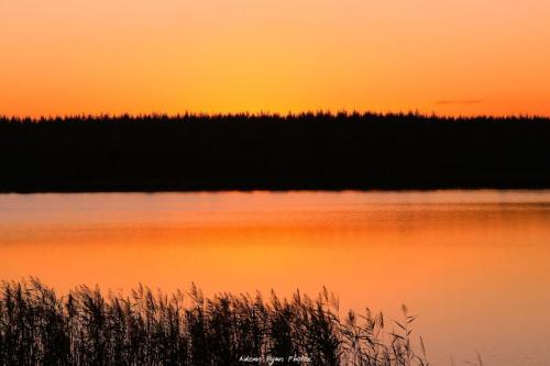 Sunset over Lough Boora